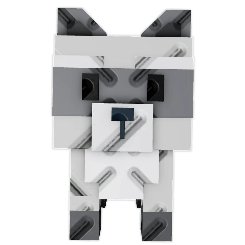 Raccoon